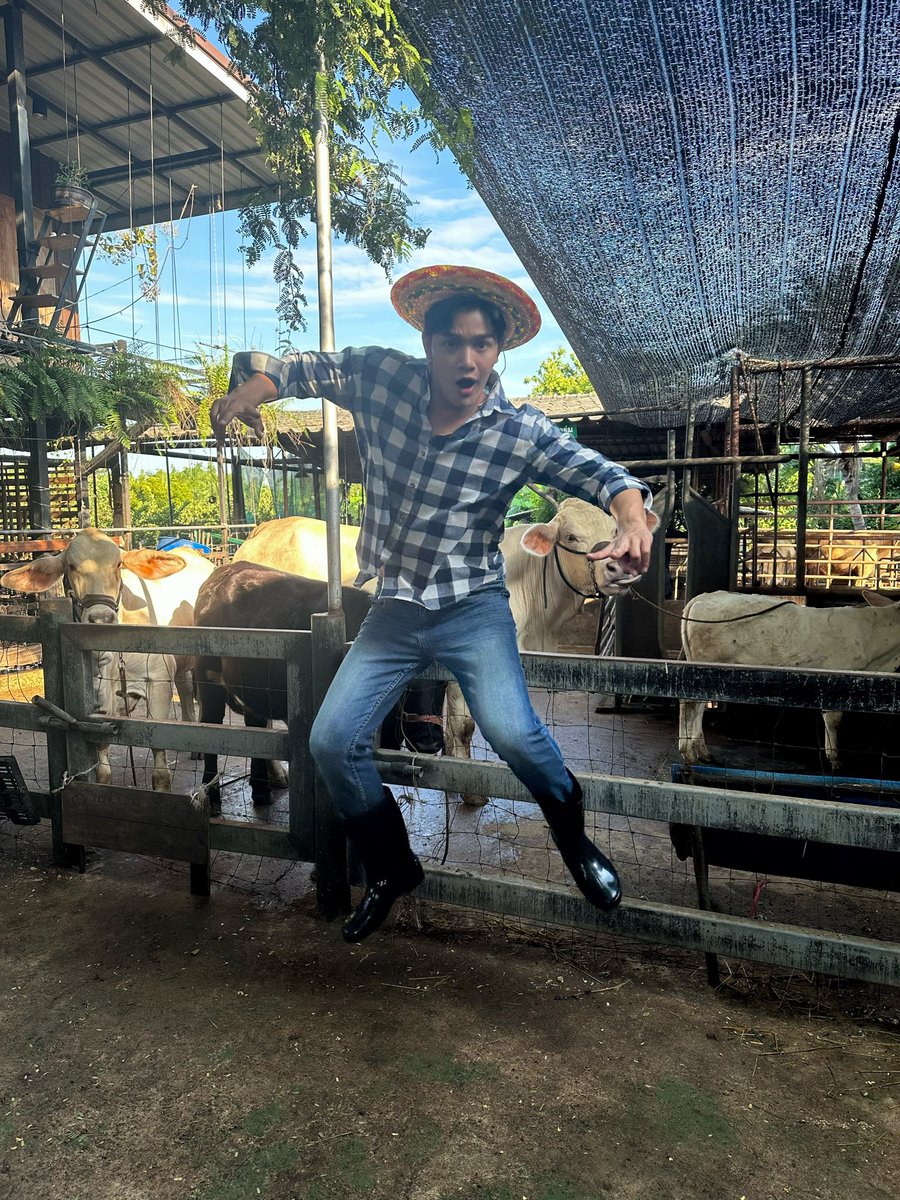 LengNatthaphon's tweet photo. เลี้ยงงัวพันธุ์ครับ😁

#คล้าว #มิวศุภศิษฏ์ 
#เล้ง #ณัฐพล
 IG:Lengnatthaphon 
#ขวัญใจกองถ่าย นะเนี่ย  ❤️
#กองถ่าย #Q22
#มนต์รักลูกทุ่ง๒๕๖๗
#Fallinginlove
#ช่อง3HD #ดูทีวีกด33
#เร็วๆนี้ #และรับชมได้ที่
#WeTVth
#WeTVละครไทย https://t.co/RoLYLsC2si
