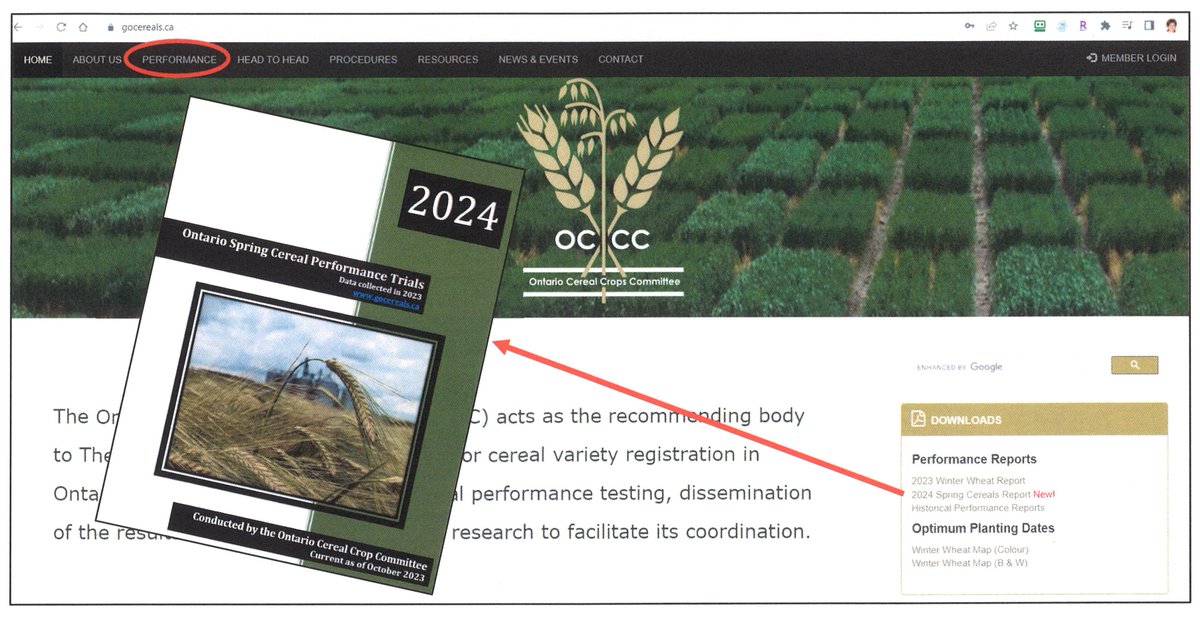 Hey #OntAg, already looking forward to spring? We can help! 2024 OCCC Spring Cereal report available on gocereals.ca Under 'Performance' and also in pdf form. Check it out! @JoFollings @WheatPete @mindyinthedirt @GrainFarmers