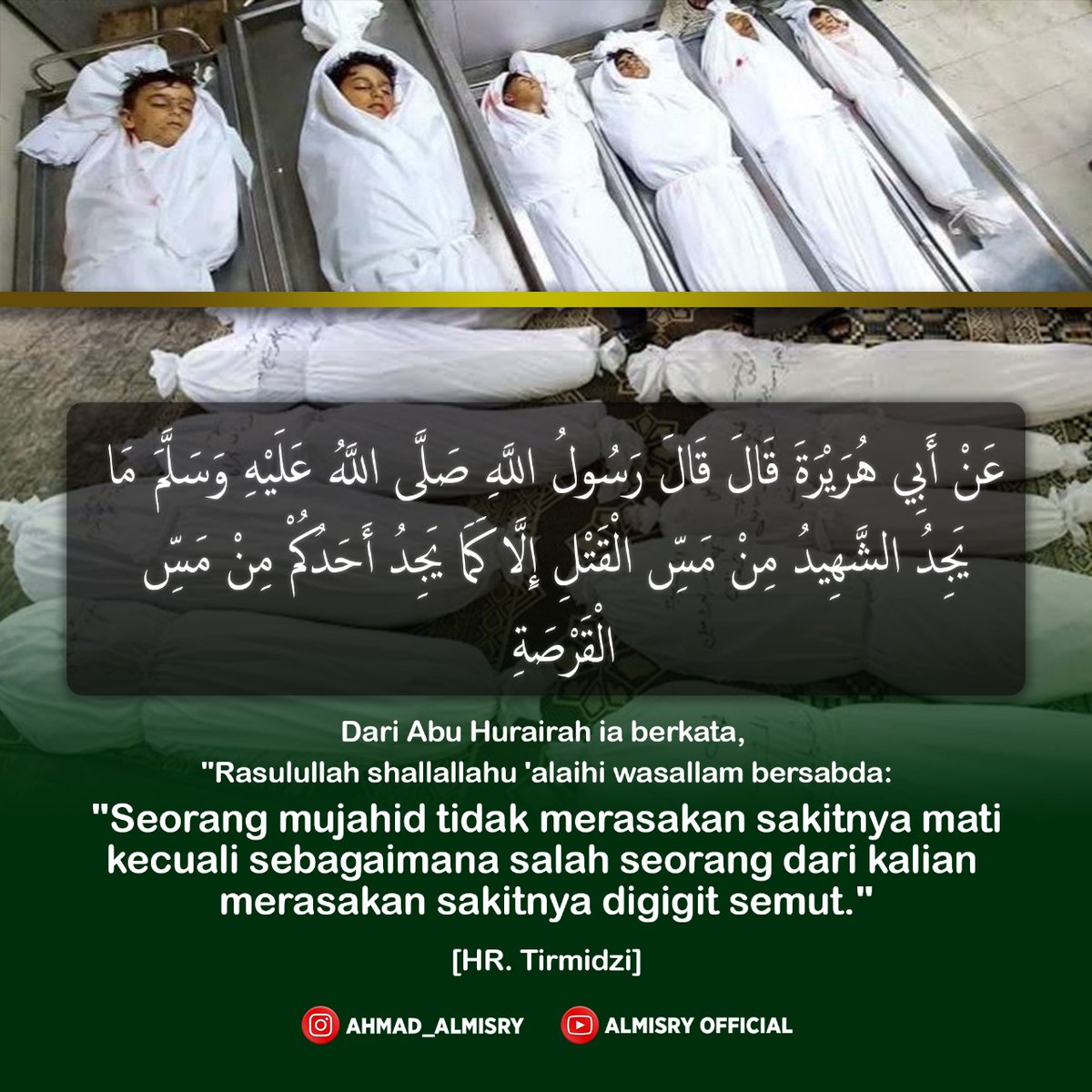 #palestine #freepalestine #gaza🇵🇸