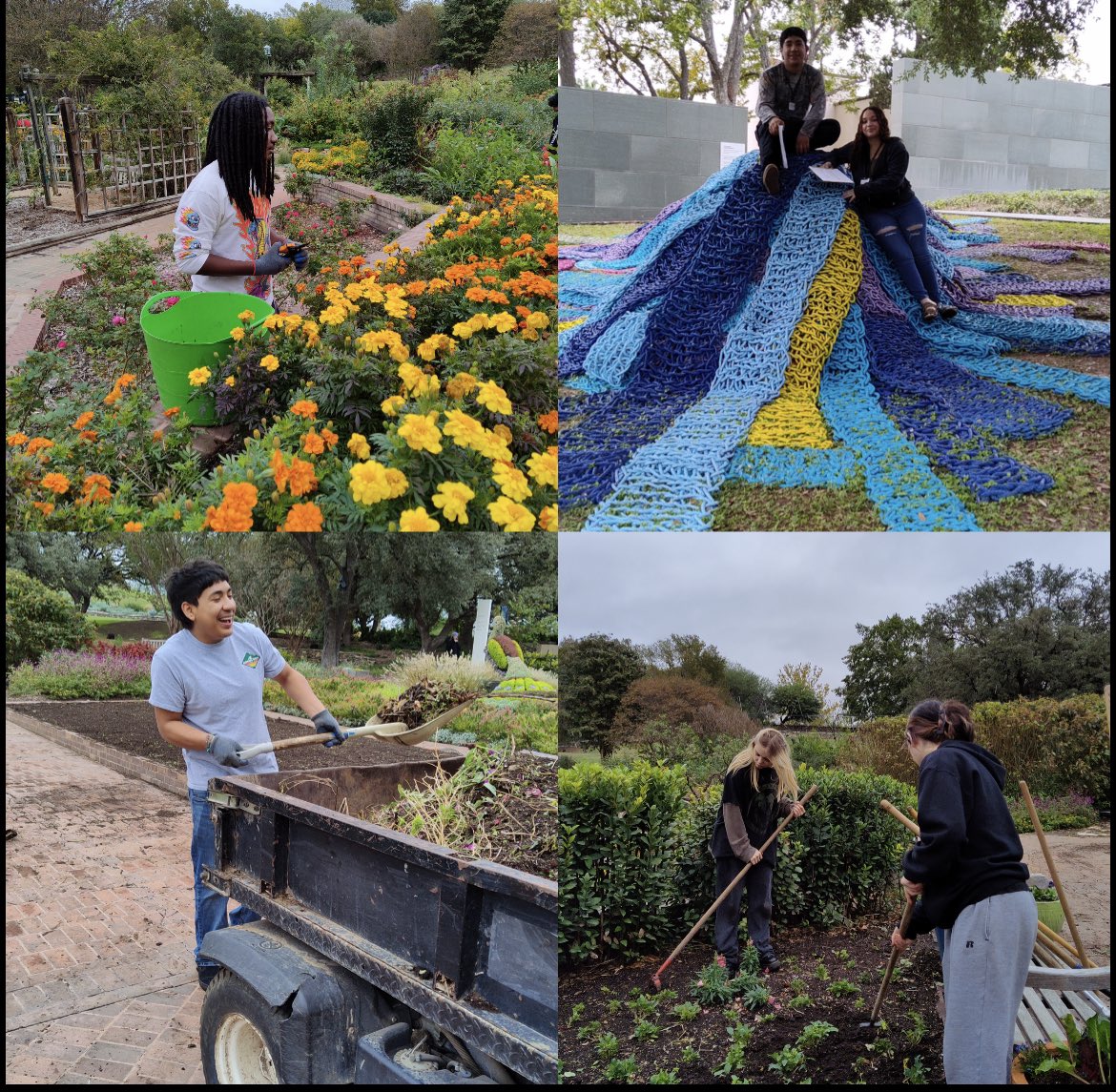 academy_ACE1's tweet photo. Academy of Creative Education spent Friday morning working hard to keep the SA Botanical Garden in peak condition for visitors ahead of Lightscape by pulling up old garden beds, raking, weeding, pruning flowers, and preparing one of the garden's iconic greenhouses to reopen. https://t.co/7TjinBpIrI