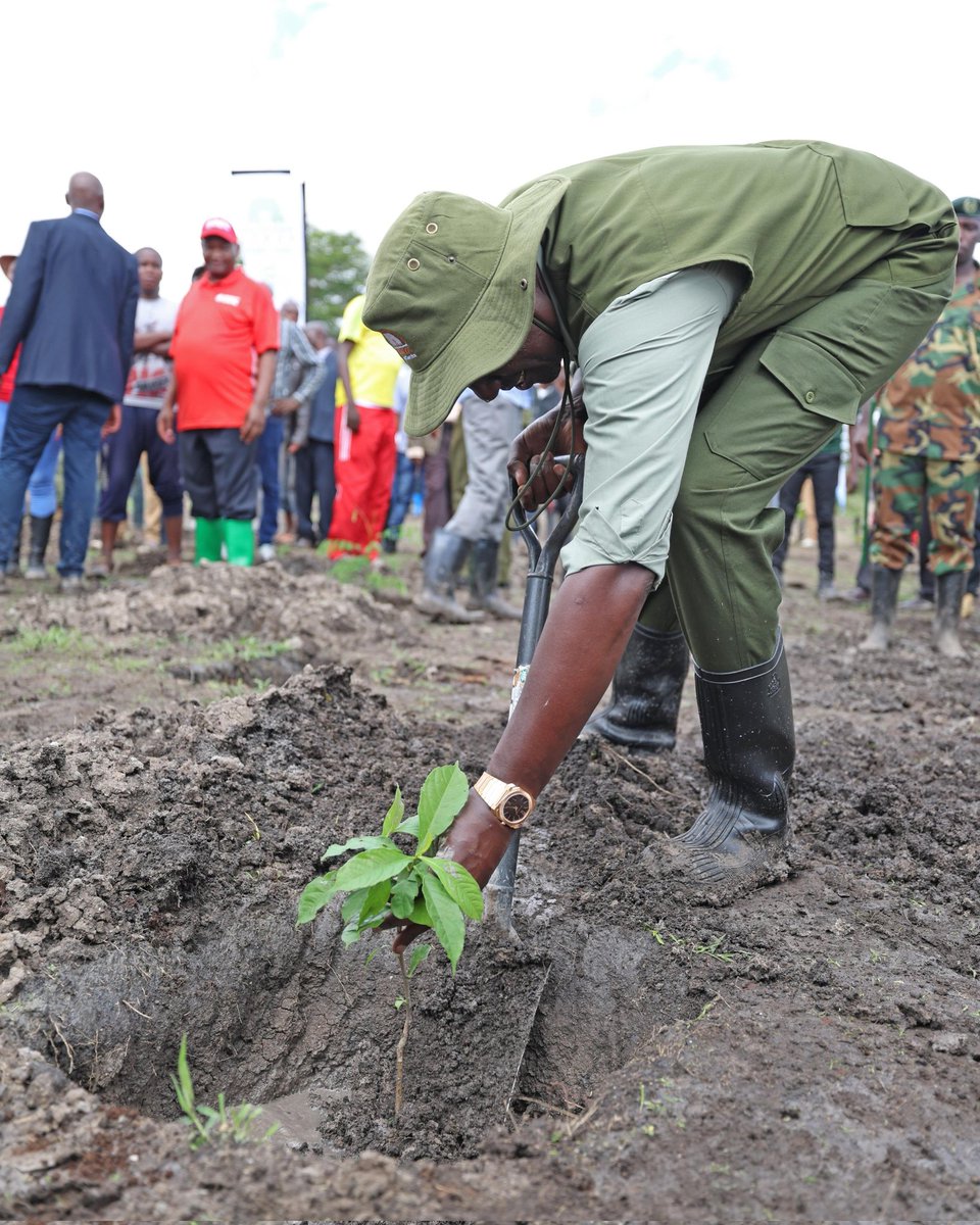 KENYA GOES GREEN 🌳 H.E President Dr William Ruto, PhD embracing the National Tree Planting Day at Kiu, Makueni County. 🌲 #JazaMiti #TreePlantingDay #KUWA #LandscapingKenya #NationalTreePlantingDay