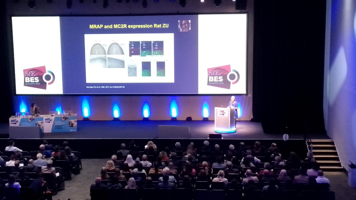 Endocrine Connections (@endoconnect) on Twitter photo 👏Congratulations to <a href="/LChan_3/">Li Chan</a> <a href="/QMUL/">Queen Mary University of London</a>, one of our Senior Editors on winning the <a href="/Soc_Endo/">Society for Endo</a> Starling Medal for contributing to exceptional scientific advances in #endocrinology. At #SfeBES2023 Dr Chan explores Melanocortin Receptors & their accessory proteins in health & disease. 👏Congratulations to <a href="/LChan_3/">Li Chan</a> <a href="/QMUL/">Queen Mary University of London</a>, one of our Senior Editors on winning the <a href="/Soc_Endo/">Society for Endo</a> Starling Medal for contributing to exceptional scientific advances in #endocrinology. At #SfeBES2023 Dr Chan explores Melanocortin Receptors & their accessory proteins in health & disease.