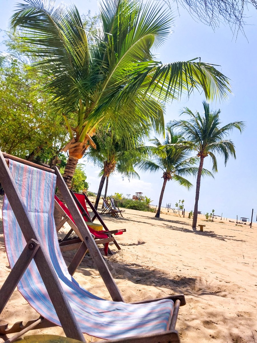 chapatiina's tweet photo. voltando aqui nessa rede exclusivamente pra convidar a galera que vem na MOSTRA DE CINEMA DE GOSTOSO  pra conhecer o BAR DA PRAIA

aberto de 10h às 18h, servimos petiscos de praia, drinks gostosos, cerveja gelada e energia boa

se liga no nosso insta https://t.co/XfPtTRsfg2 https://t.co/ltzBv81Gwl