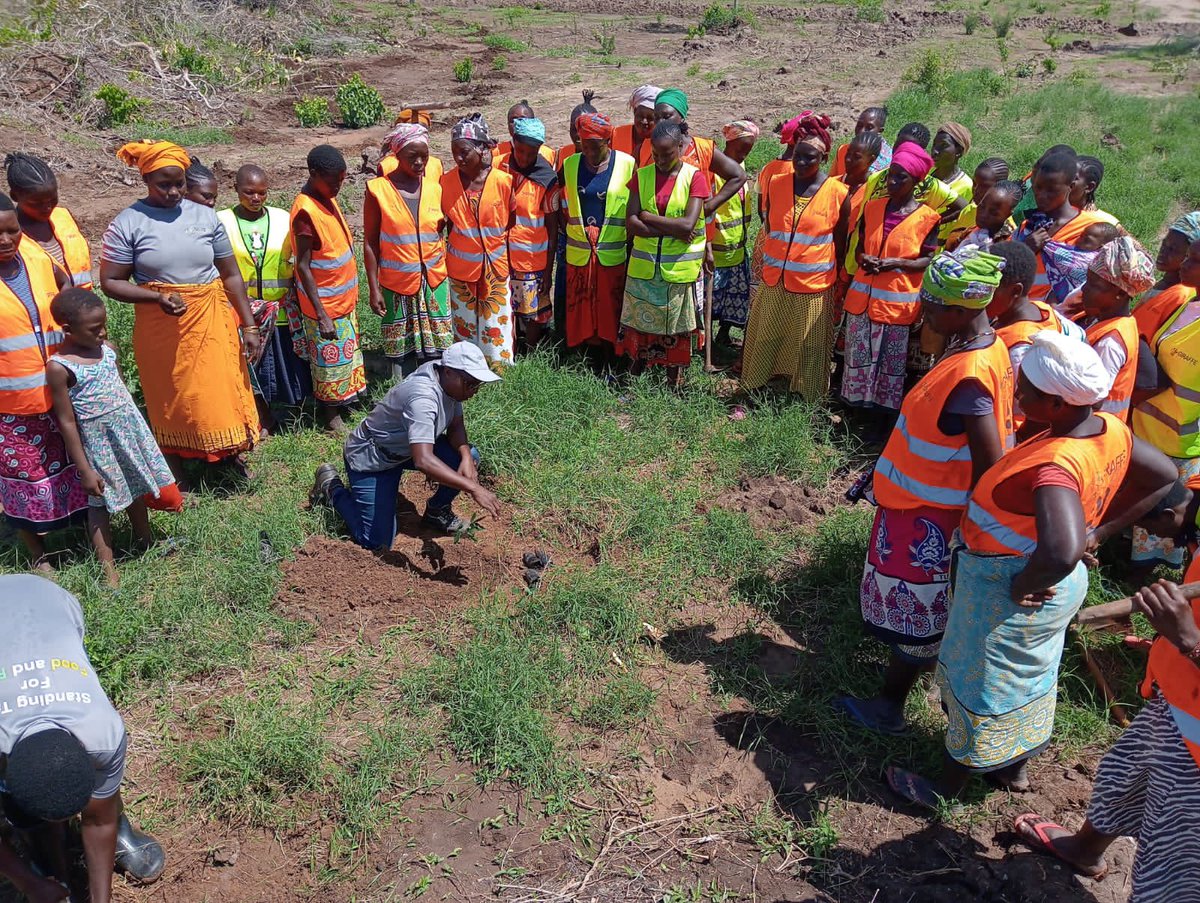 Dr. Christine Mutoni, Senior Agronomist, leads the way on Tree Planting Day at Giraffe Bioenergy inspiring the team towards our goal of 4000 trees. Channeling the spirit of Prof. Wangari Maathai, the first African woman Nobel Prize winner #TreePlantingDay