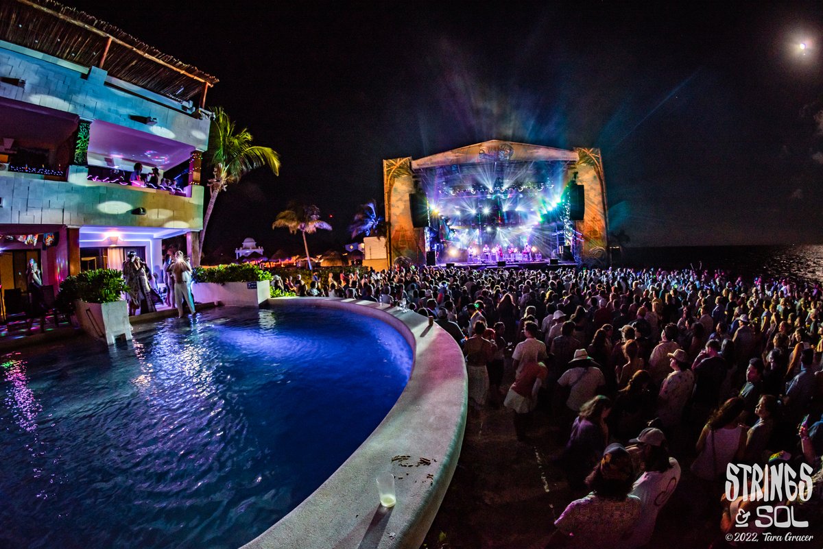 Strings & Sol tweet media