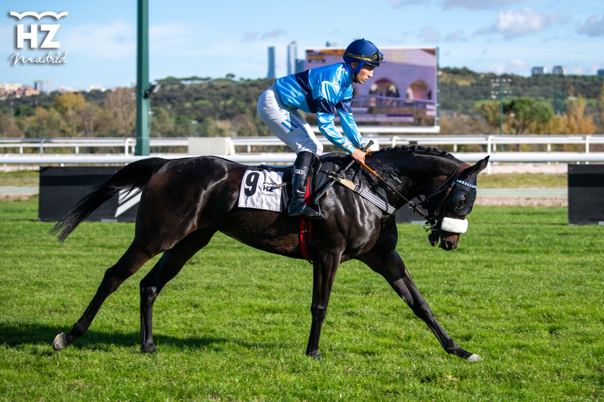 Hipódromo de La Zarzuela tweet media