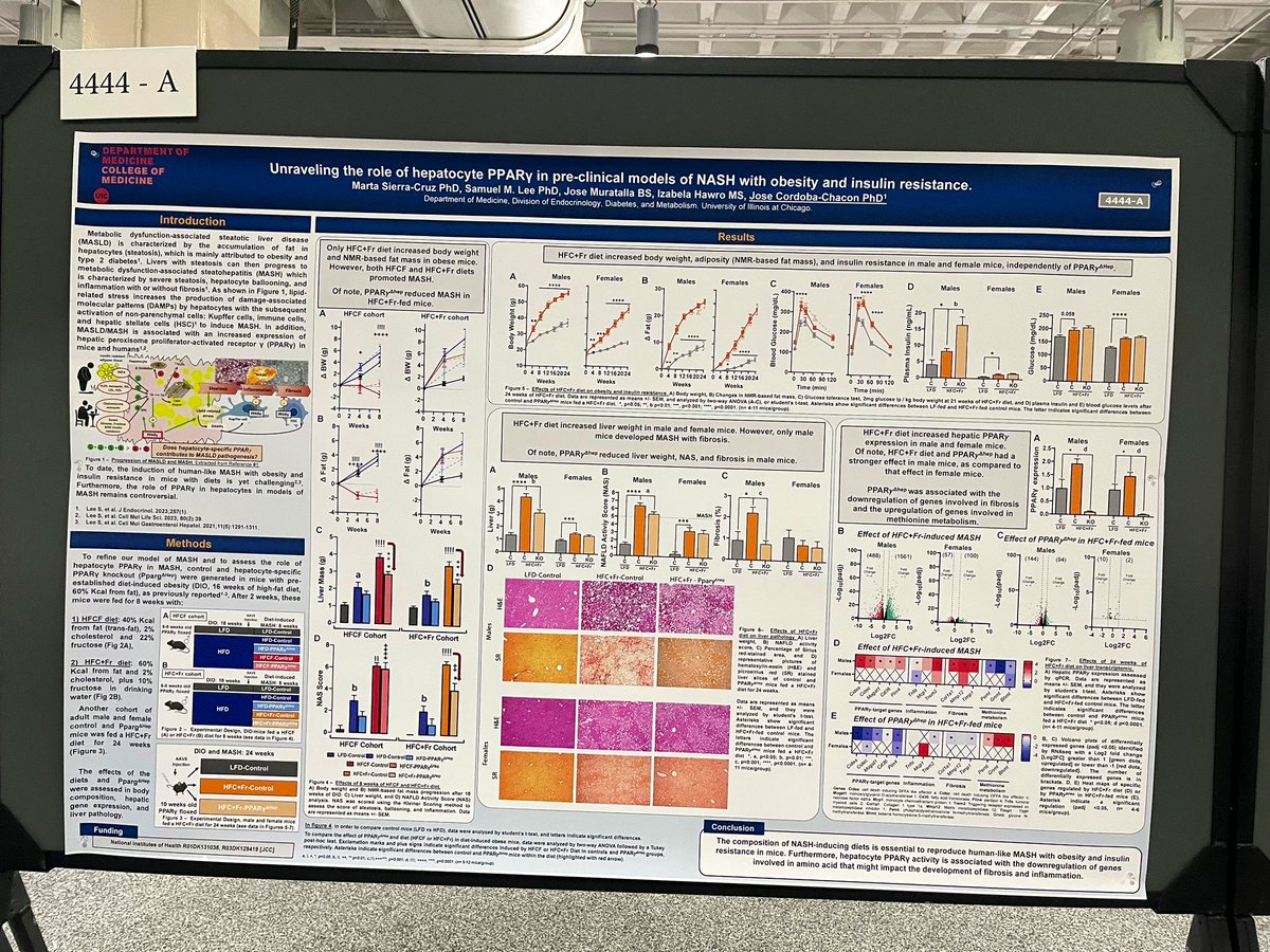 Izabela Hawro (@izabelahawro) on Twitter photo Please, stop by and see amazing work of <a href="/Cordoba_Lab/">Cordoba Lab (Liver Lab)_UIC Diabetes Center</a> , presented by Dr. Córdóba-Chacón!
#TLM2023 #TLM23 <a href="/Diabetes_UIC/">UIC Diabetes Center</a> <a href="/Cordoba_Lab/">Cordoba Lab (Liver Lab)_UIC Diabetes Center</a> <a href="/AASLDtweets/">AASLD</a> Please, stop by and see amazing work of <a href="/Cordoba_Lab/">Cordoba Lab (Liver Lab)_UIC Diabetes Center</a> , presented by Dr. Córdóba-Chacón!
#TLM2023 #TLM23 <a href="/Diabetes_UIC/">UIC Diabetes Center</a> <a href="/Cordoba_Lab/">Cordoba Lab (Liver Lab)_UIC Diabetes Center</a> <a href="/AASLDtweets/">AASLD</a>
