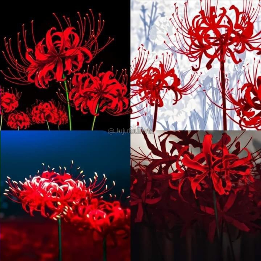Which anime these flowers make you think of?