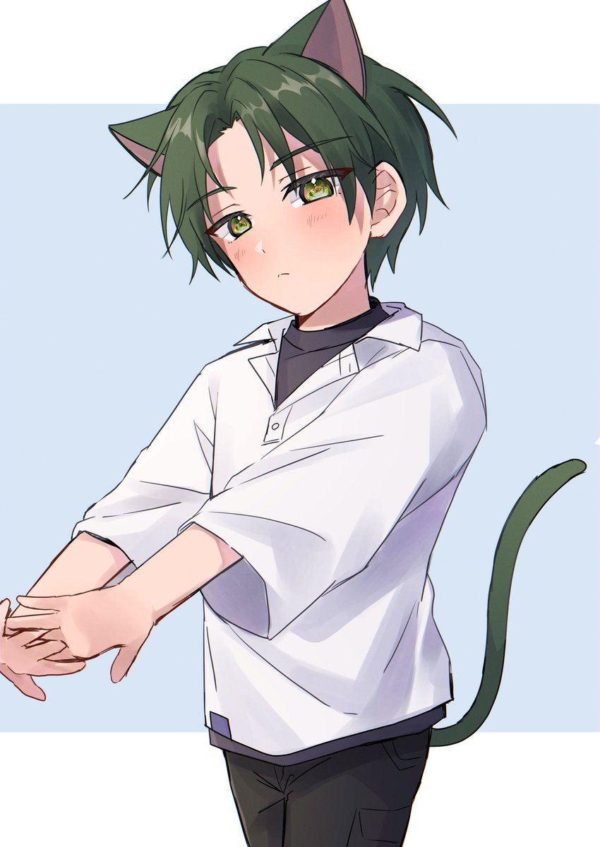 animal ears 1boy tail cat ears cat tail male focus green hair  illustration images