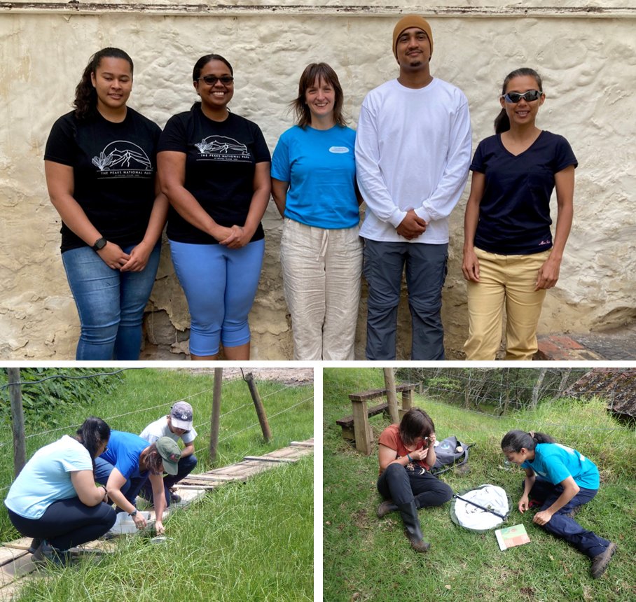 SHnationaltrust's tweet photo. We were privileged to have Vicky Wilkins from the Species Recovery Trust, who has supported Trust projects for several years. Being her first time on the island, she had a jam-packed schedule, which included freshwater training and assisting with Golden Sail Spider surveys. https://t.co/KcWqtUMifd