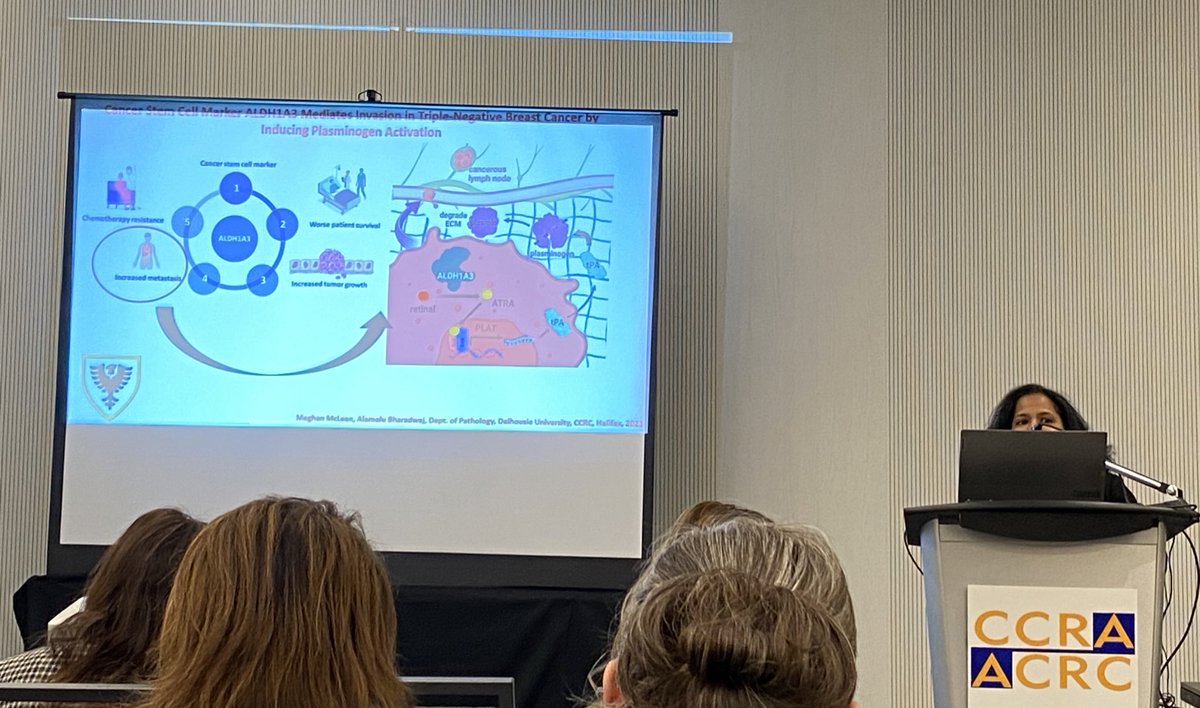 .<a href="/dharbh/">Alamelu Bharadwaj</a> (quickly!!) shows that ALDH1A3 mediated invasion/metastasis is dependent on plasminogen activation. #CCRC2023