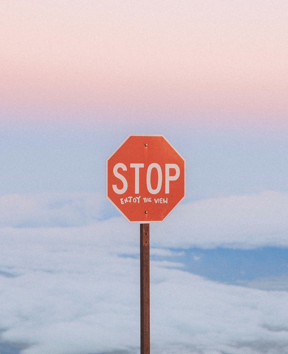 pastel papi tweet media