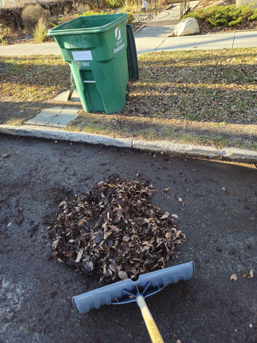 So is <a href="/cityofsaskatoon/">City of Saskatoon</a> not doing street cleaning this fall? Asking for a friend? 
#YXE #Saskatoon #Stoon