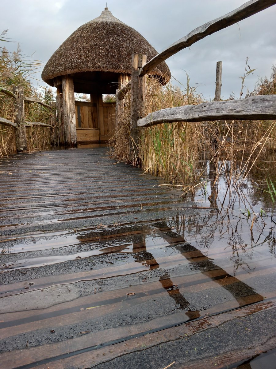 SomersetWT's tweet photo. Please be aware there is currently flooding on the @AvalonMarshes, including at our Westhay Reserve. ⚠️

The paths and droves on site are very flooded, and there are road closures in place elsewhere on the Levels — take care extra care and dress accordingly!

#Somerset #Westhay https://t.co/cFiQHdOXpJ
