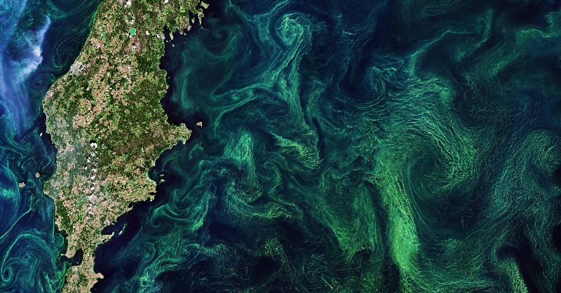 EMBRC_EU's tweet photo. Our Scientific Manager #AliceSoccodato is co-chairing an event on Essential Biodiversity Variables and Essential Ocean Variables at the International Ocean Colour Science Meeting, Florida, on 16 Nov, 3.45pm.
@USouthFlorida @IOCCG #IOCS23 #Biodiversity
Know more and register๐