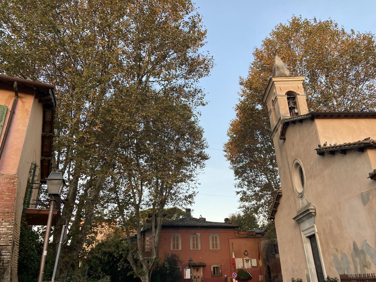 👷‍♀️🌳Iniziato l’intervento di potatura dei platani in piazza della Colonnetta ad Isola Farnese da parte del Dipartimento Ambiente del Municipio Roma XV.