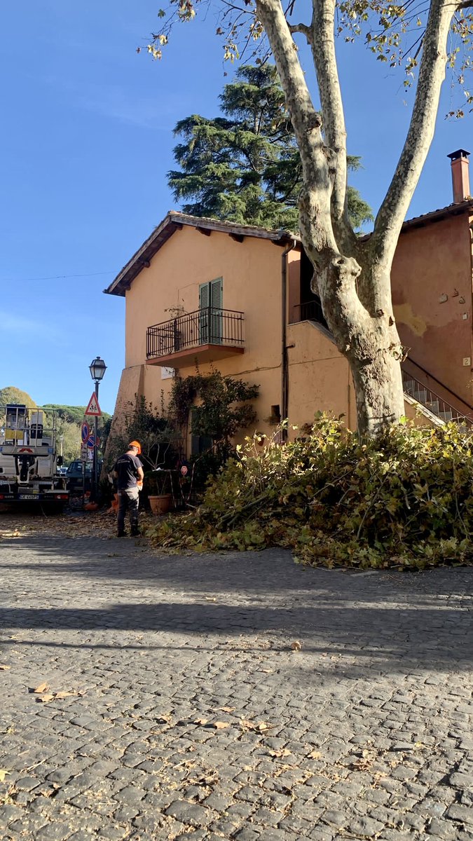 ValorVeio's tweet photo. 👷‍♀️🌳Iniziato l’intervento di potatura dei platani in piazza della Colonnetta ad Isola Farnese da parte del Dipartimento Ambiente del Municipio Roma XV. https://t.co/EnBjk7lrBI