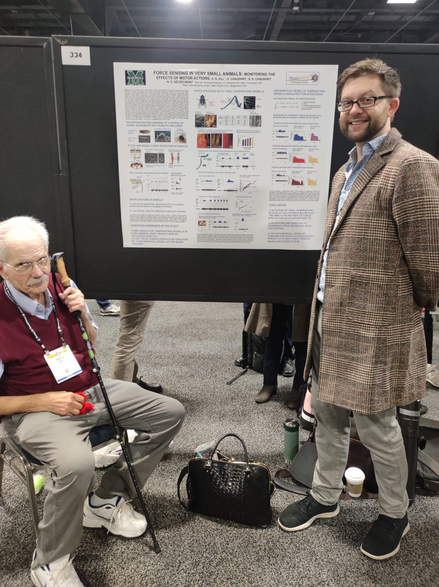 Want to learn more about force sensing in flies and other insects? Check out our poster at JJ4 until 12:00 today! #SfN23