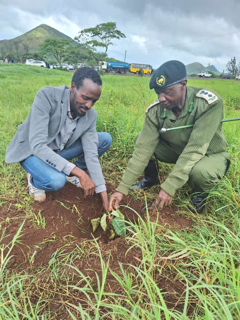 NaPO participated in the national tree planting day at Hulahula, Marsabit County under the theme "15 billion ni Wajibu wa kila Mkenya" and in line with Kenya's ambitious race towards achieving 30% National tree cover by 2032.