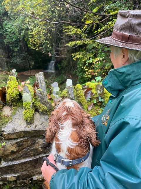 Penllergare tweet media