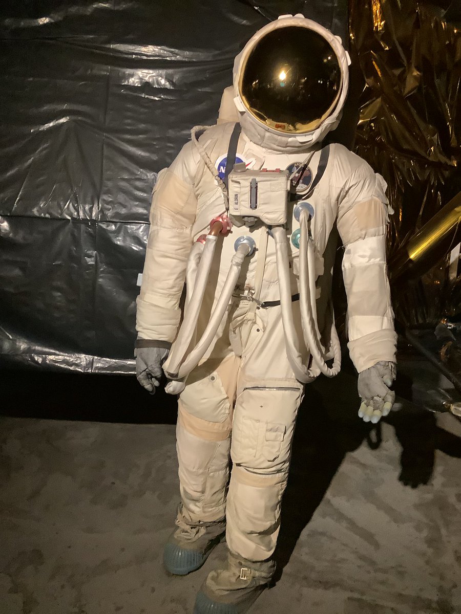 Halley Year5 tweet media