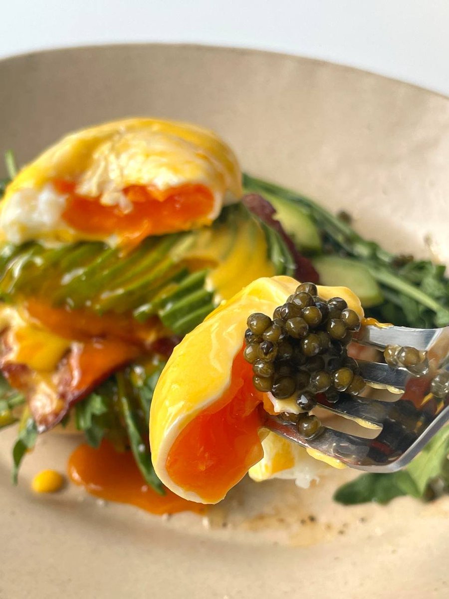 camble_brianna's tweet image. 🥑🥓✨ Eggs Benedict with a dash of good-looking avocado. A reward for my stomach, reflecting on a year of hard work. Here's to treating yourself even on working days! 🍽️💪 #PerfectBreakfast #MorningRewards
