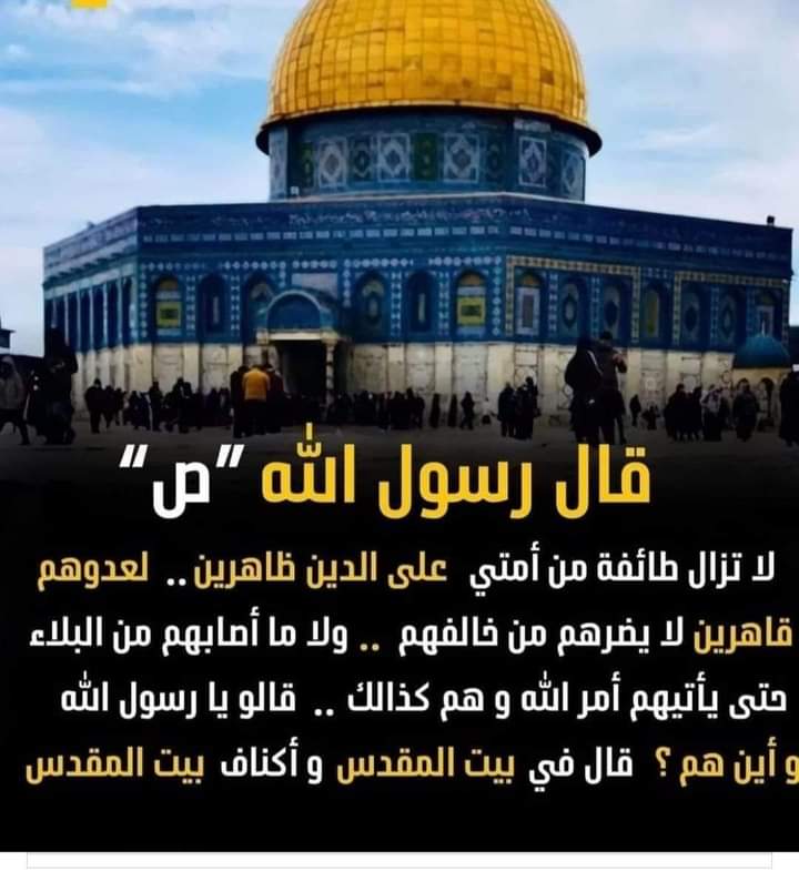 captenessam11's tweet image. 