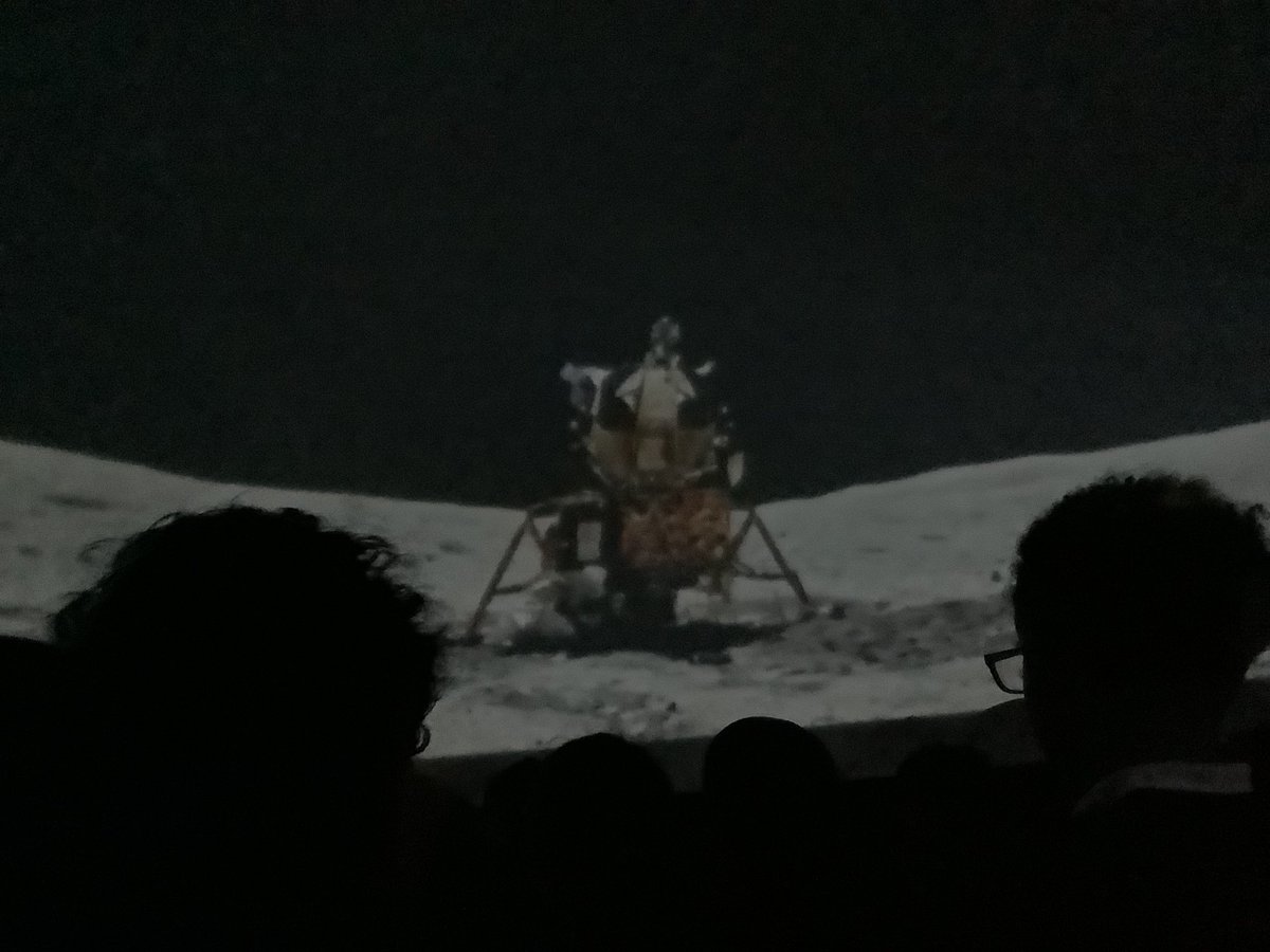 Halley Year5 tweet media