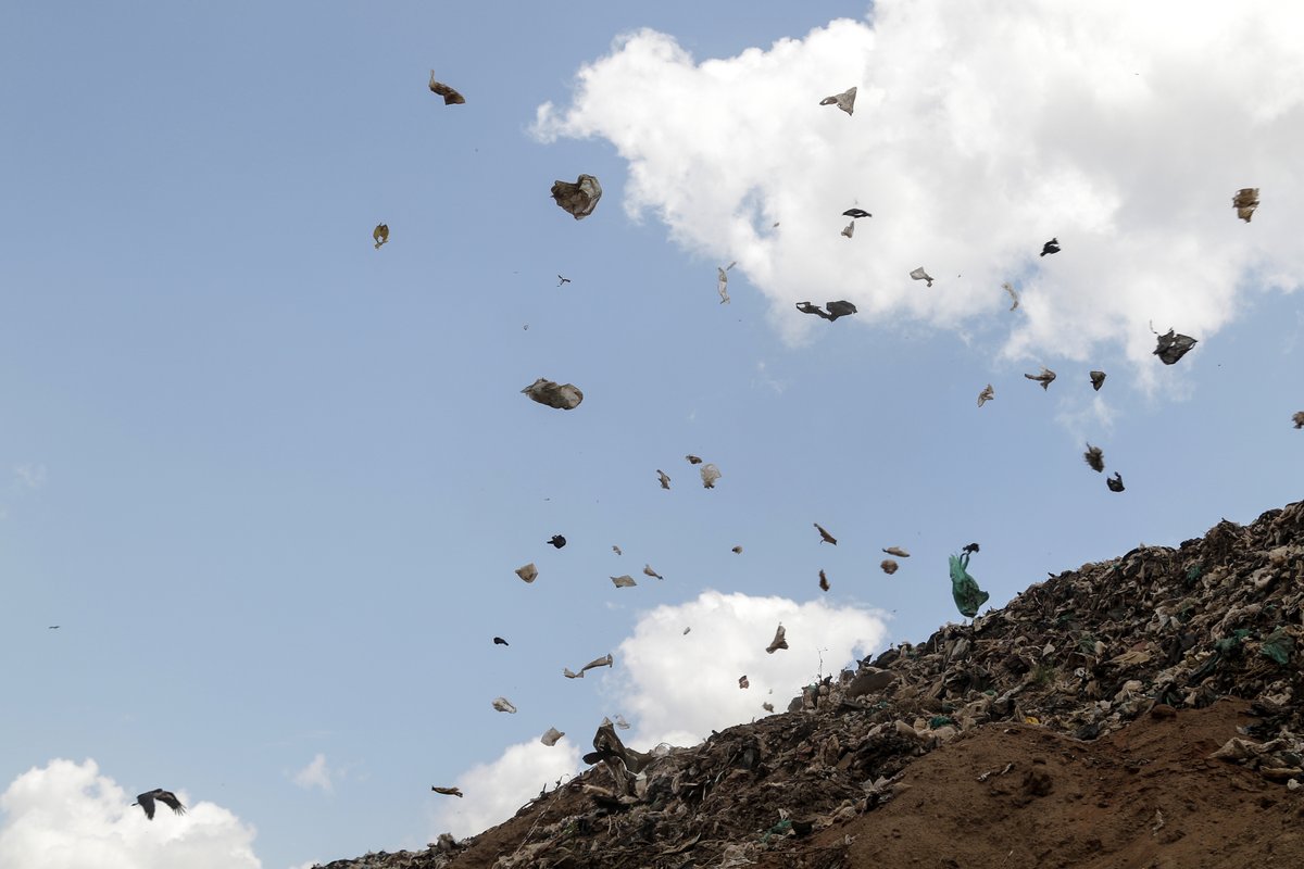 Wondering what stakeholders think of the Zero Draft of the global #PlasticsTreaty? 

Our latest blog signposts comments and analyses from a range of NGOs, private sector bodies, convening bodies, industry reps &amp; research institutions - 
plasticspolicy.port.ac.uk/perspectives-o…

📷© James Wakibia