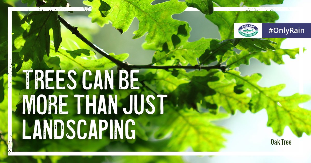 Northern Virginia Clean Water Partners tweet media