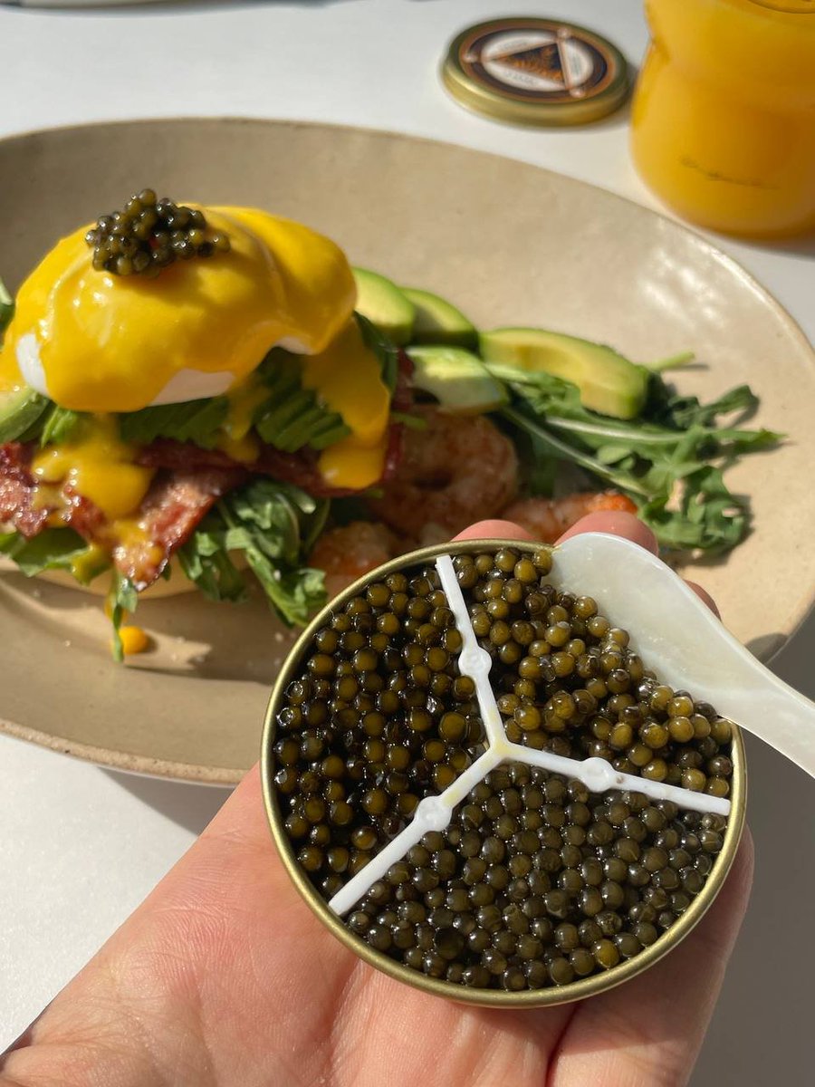 camble_brianna's tweet image. 🥑🥓✨ Eggs Benedict with a dash of good-looking avocado. A reward for my stomach, reflecting on a year of hard work. Here's to treating yourself even on working days! 🍽️💪 #PerfectBreakfast #MorningRewards