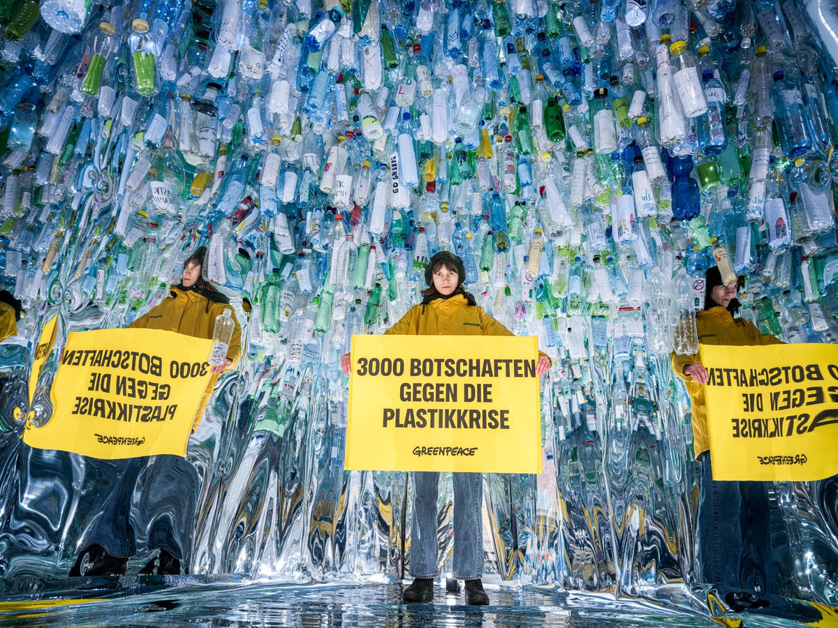 Rund 3.000 Schülerinnen und Schüler in Österreich haben sich in den vergangenen Wochen im Unterricht mit den Auswirkungen von Plastik auf Umwelt, Tiere und Klima beschäftigt. Daraufhin haben sie Botschaften für ein starkes internationales Plastikabkommen an die UNO geschrieben.