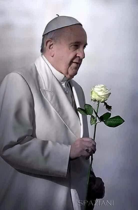 JoseFerreiraj94's tweet image. El Papa Francisco se lució con éste maravilloso mensaje:
"Está vida se va a ir rápido, no pelee con la gente, no critique tanto su cuerpo. No se queje tanto. No pierda el sueño por las cuentas. Busque la pareja que lo haga feliz. Si se equivoca, dejela y siga buscando su…