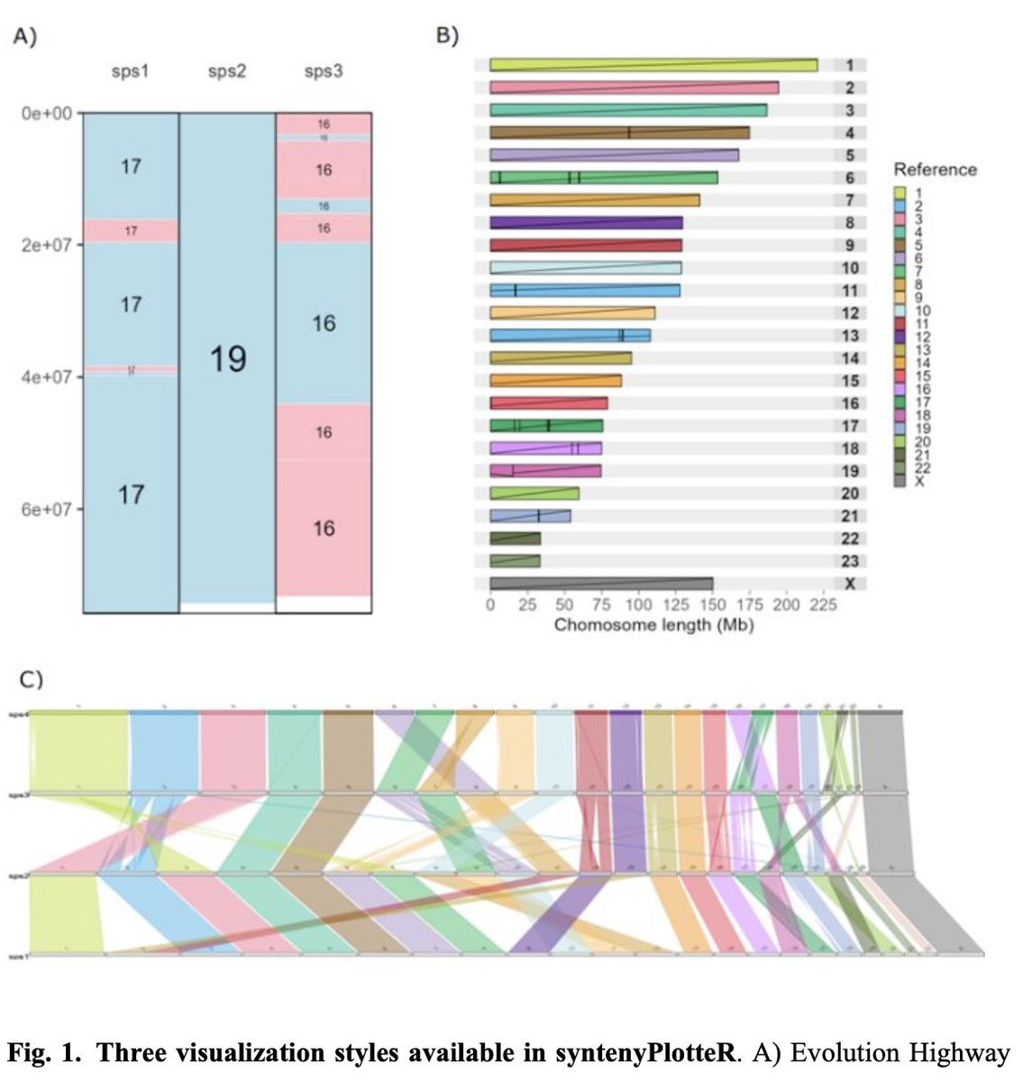 syntenyPlotteR: a user-friendly R package to visualize genome synteny, ideal for both experienced and novice bioinformaticians by Sarah Quigley, @joana_damas, Denis Larkin, and @marta_f_b in doi.org/10.1093/bioadv…