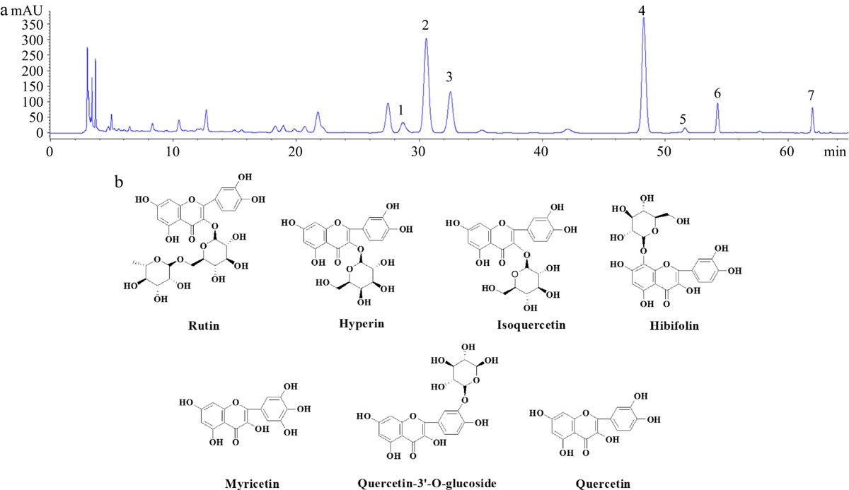 Revolutionizing Flavonoid Extraction from Hibiscus manihot L. Flowers! 🌺 Our eco-friendly IL-HSH-MAE technique boasts unparalleled efficiency, yielding 22.04 mg/g of flavonoids. #GreenExtraction #BotanicalScience #BeveragePlantResearch
maxapress.com/article/doi/10…