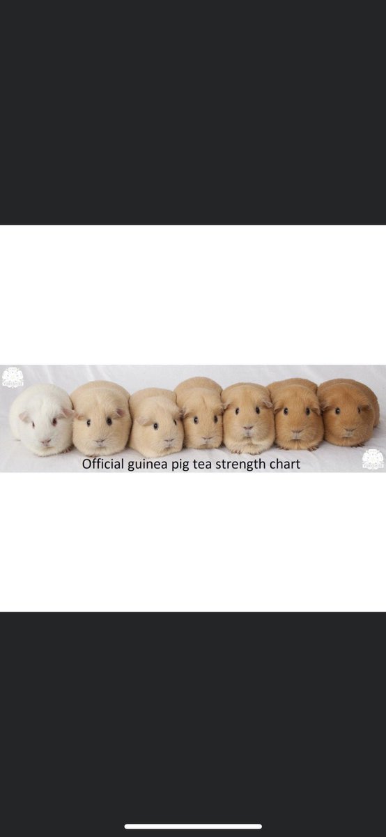 I choose 4th from right 🤣🤣