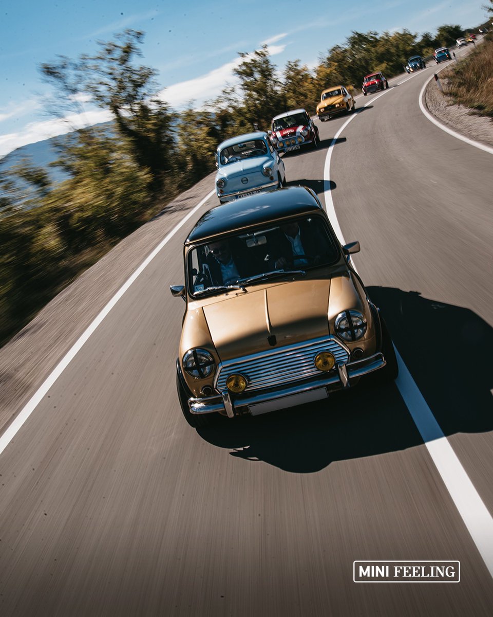 MINImexico's tweet image. ¿Lunes de clásicos? ¡Claro que sí! 🤟☀️​
​
📸: sekifoto (IG).​
​
#FelizLunes #MiniClassic #MINIFeeling #MINIMexico