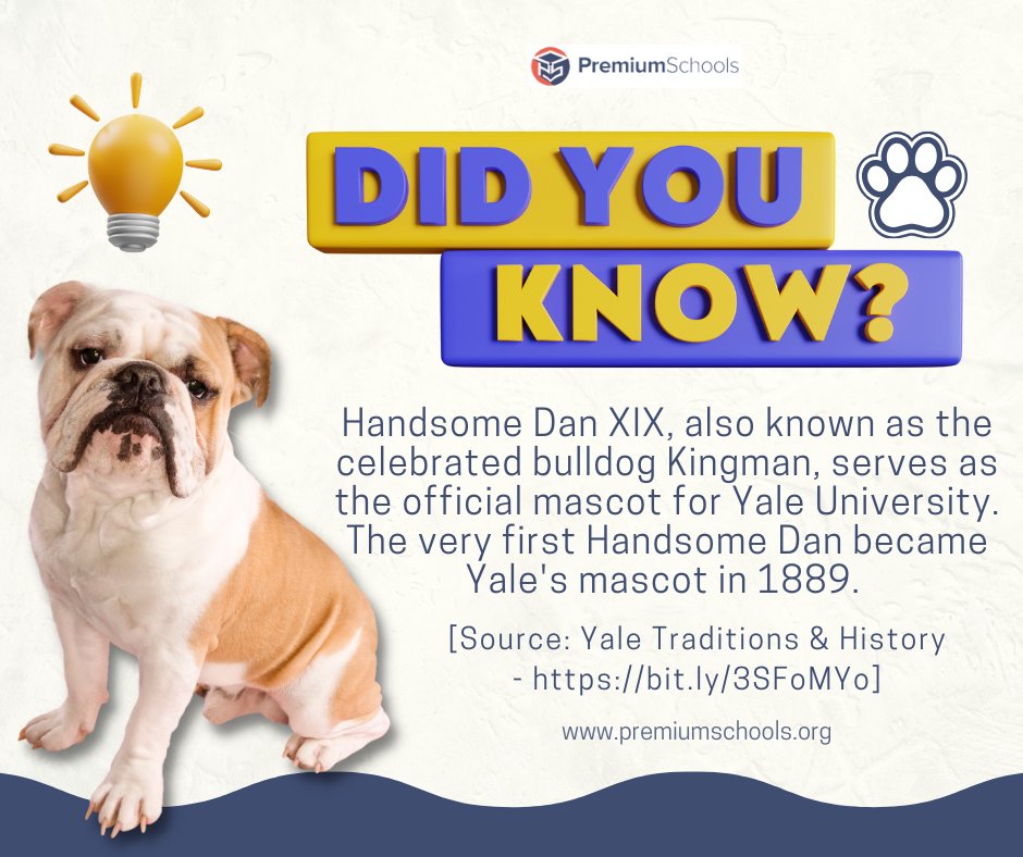 Learn about Yale's very own #HandsomeDan! #YaleUniversity #collegefact #universityfact #mondayfact #monday #premiumschools
