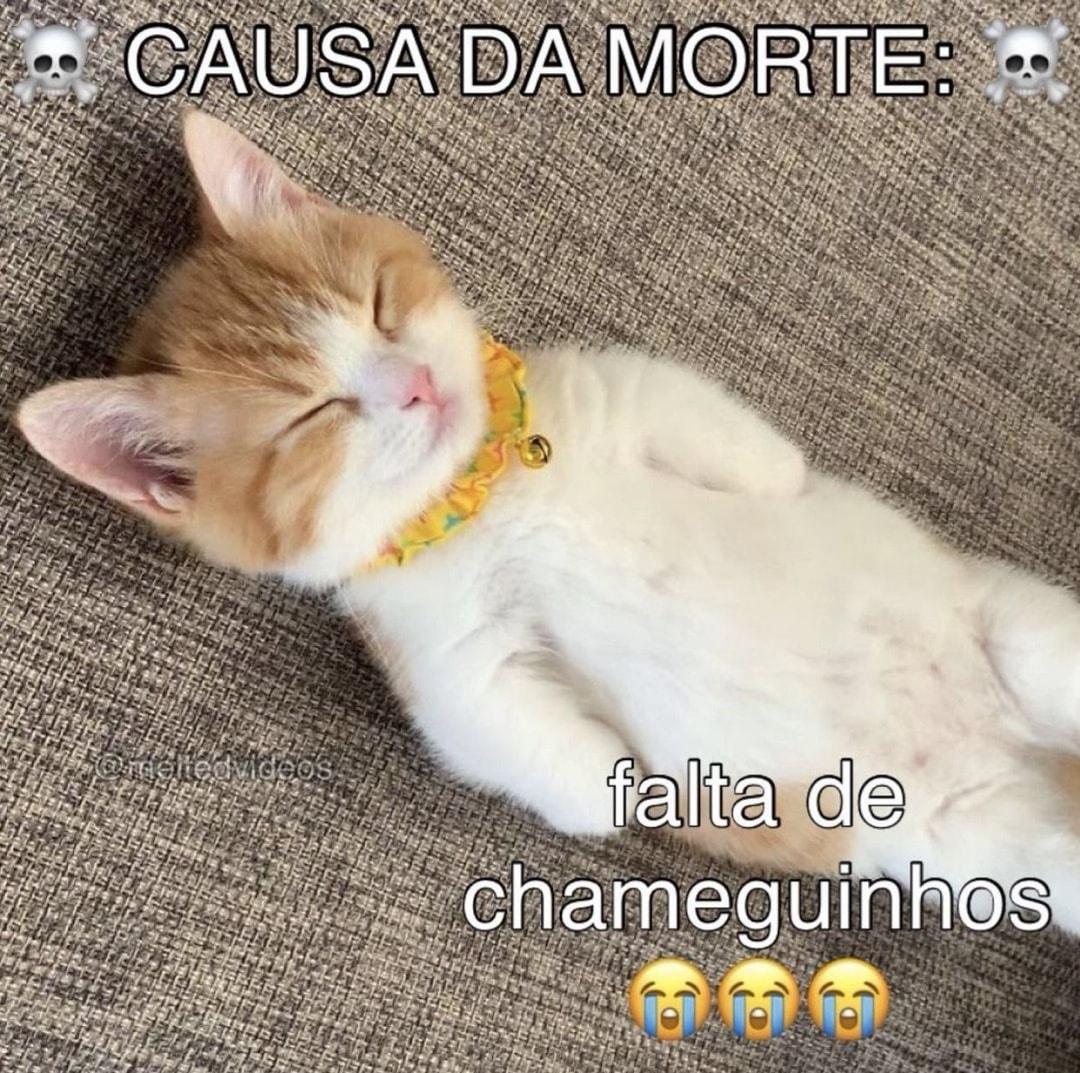 memes pra quem tem baixa autoestima  (@autoestimaposts) on Twitter photo 