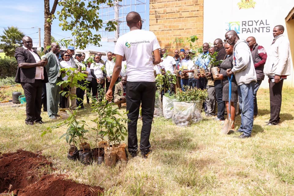 consolidatedKe's tweet image. On Saturday our Eldoret branch took part in planting over 300 diverse tree species at the Eldoret Central Police station.

#NationalTreePlantingDay2023
#TreePlantingWithConsoBank 🌱