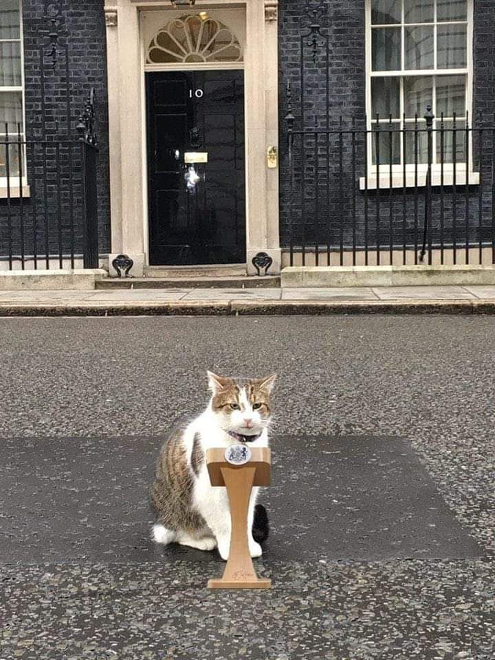 Just put the cat in charge.

🇬🇧🐈

#CabinetDecisions #CabinetShuffle #LarryForPM