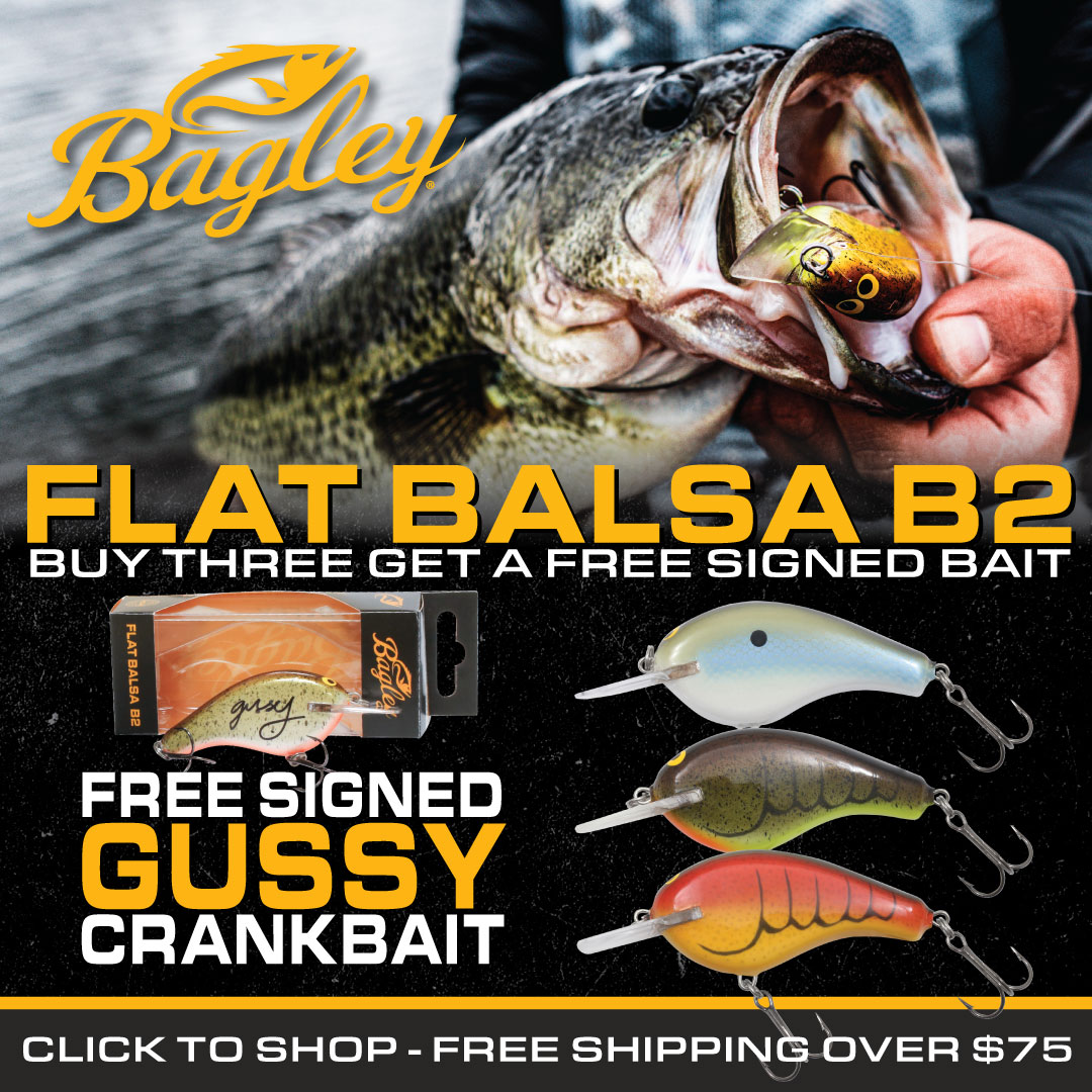 Bagley Baits tweet media