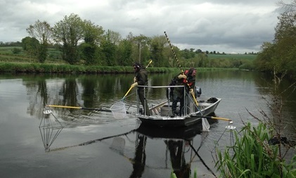 Join the @ResearchIFI team as a Research Officer on the @EPAIreland funded “RESTORE” project (Detecting Change and Assessing the Effectiveness of Measures to Protect and Restore High Status Objective River Water Bodies) tinyurl.com/3vcwzwbz