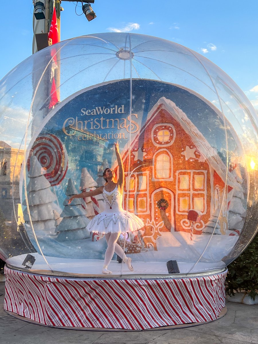 tickets2you's tweet photo. How was your weekend? We went over to the opening night of @seaworld Christmas Celebration! 
 #WeekendVibes #SeaworldChristmas #HolidayFun #ChristmasCelebration #WinterWonderland #FestiveSeason #HolidayCheer https://t.co/az5q8MLmkk