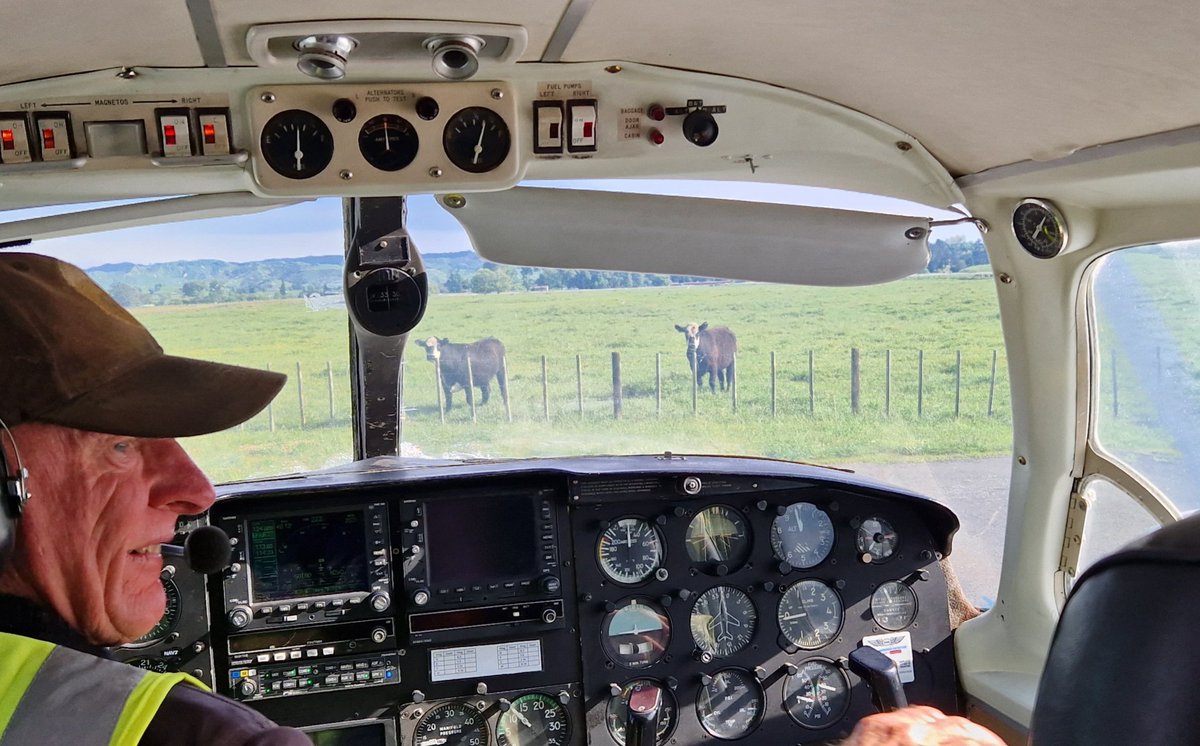 Flight to Wairoa clinic this morning. Like the commute to Stornoway but sunnier, smaller plane and more cows! #teamrenal