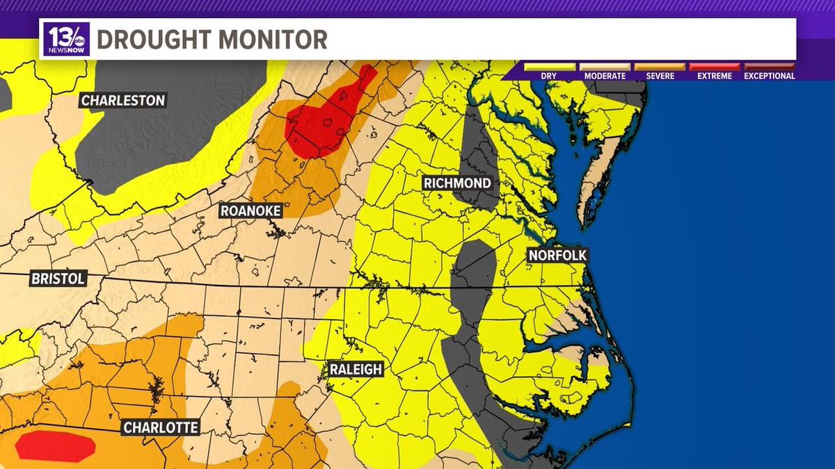 Frances Peyton tweet media