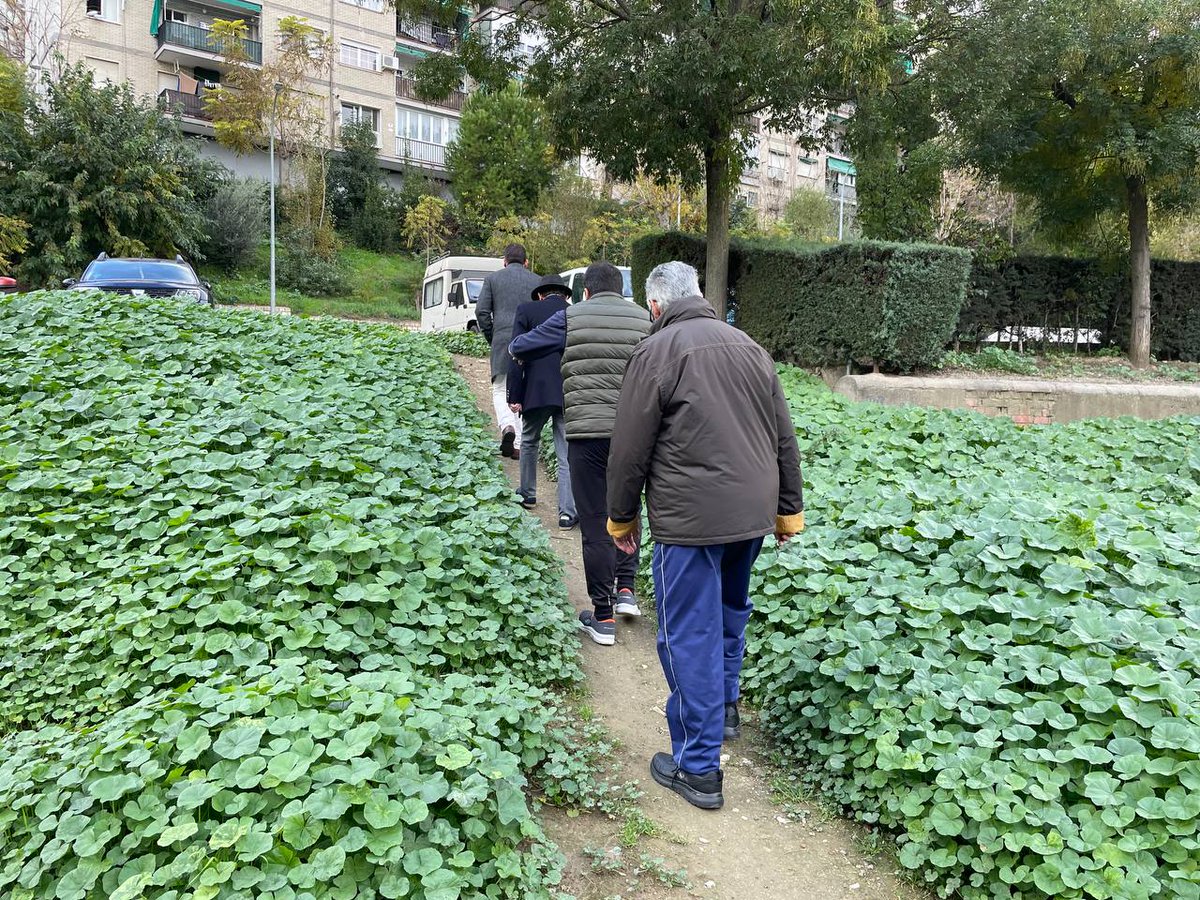 rubenai's tweet photo. He estado hoy recorriendo con la Coordinadora Vecinal Ciudad-Setenta y tratando temas de salud pública en el barrio. 

He querido que me enseñarán de primera mano algunas cuestiones a mejorar y sobre todo recogiendo propuestas. https://t.co/U0lMbTPePP