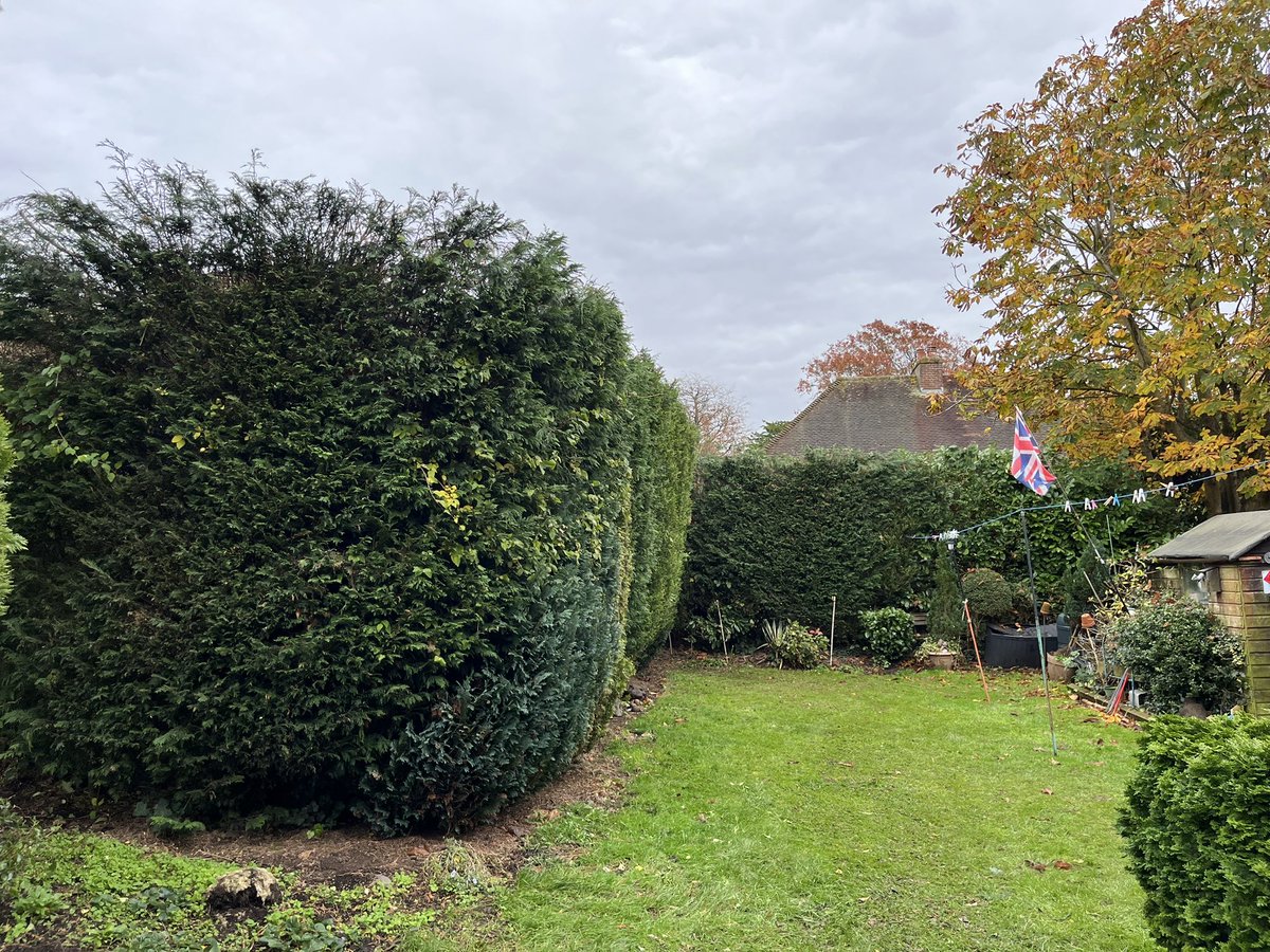 2002Gat's tweet photo. Conifer hedge reduction in Walton on the hill using @UK_Husqvarna battery saws and cutters https://t.co/sLhp69IlEf
