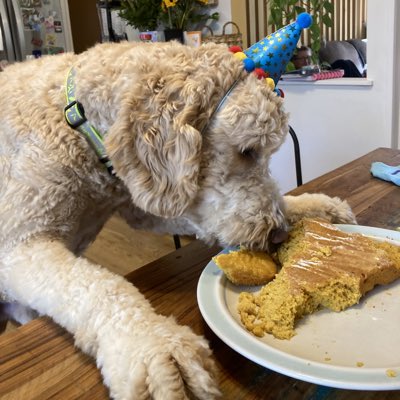 sacarest's tweet image. #NewProfilePic