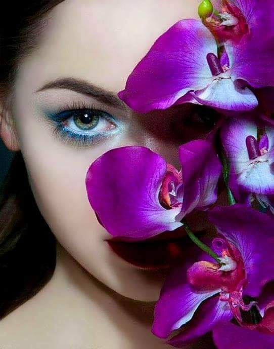 ─˚*ೃ.❥❥˚*ೃ.💜˚*ೃ✨️˚*ೃ. 
˚*ೃ.🪻˚*ೃ. 𝙁𝙀𝙇𝙄𝙕˚𝙉𝙊𝙄𝙏𝙀!💜
*ೃ.🌿🌸🌿˚*ೃ.🪻˚*ೃ.❥❥                                          
                   ───˚*ೃ.❥❥.
#TercaResgateSDV
#TercaEsquadraoSDV